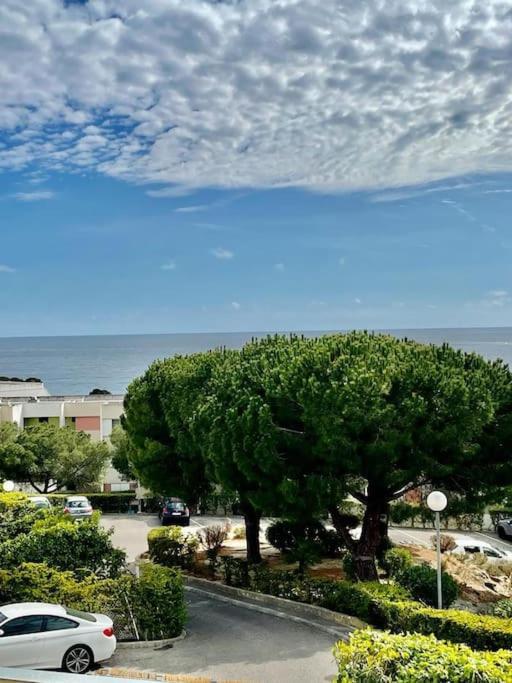 Joli Studio Cosy De 31 M2 Bord De Mer Acces Pmr 4Personnes 拉西约塔 外观 照片